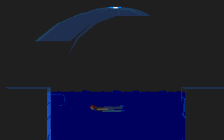 Swimming