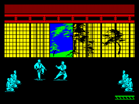 Combat de karaté dans un dojo
