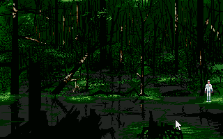 Swamp