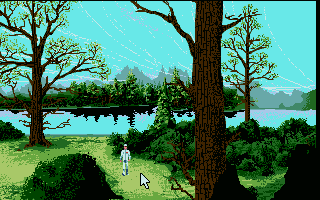 Forest