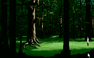 Tree in the forest