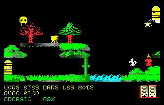 Sorcier dans les bois et chouette